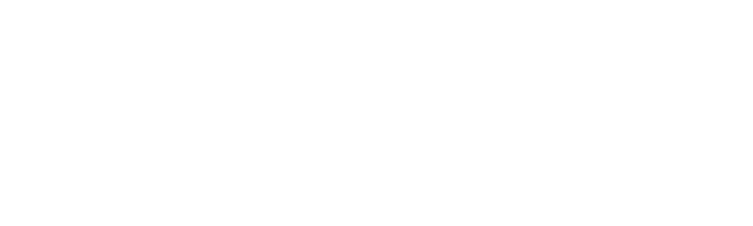 Webdesign Stralsund - Seitenschmiede